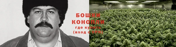 mix Гусиноозёрск