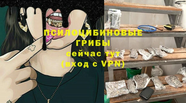 ALPHA PVP Гусев