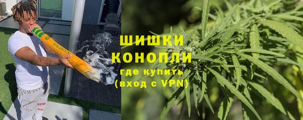ALPHA PVP Гусев