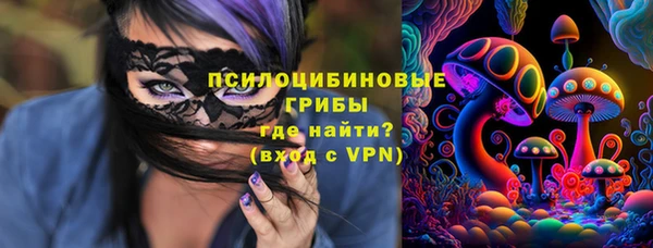 mix Гусиноозёрск