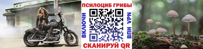 Псилоцибиновые грибы GOLDEN TEACHER  Купить  Сегежа 